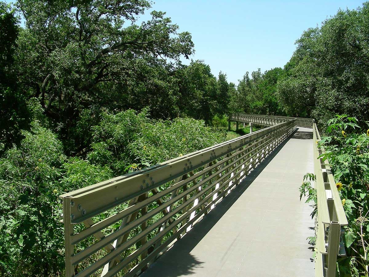 Birding with Bexar Audubon at Walker Ranch Park
