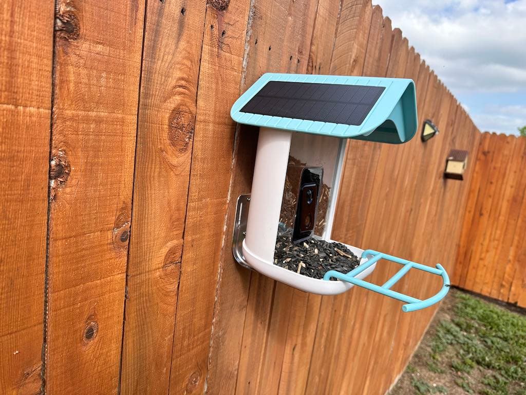 After failing to strap mount this huge feeder to my tiny tree, I conceded to putting it on my fence near a tree.