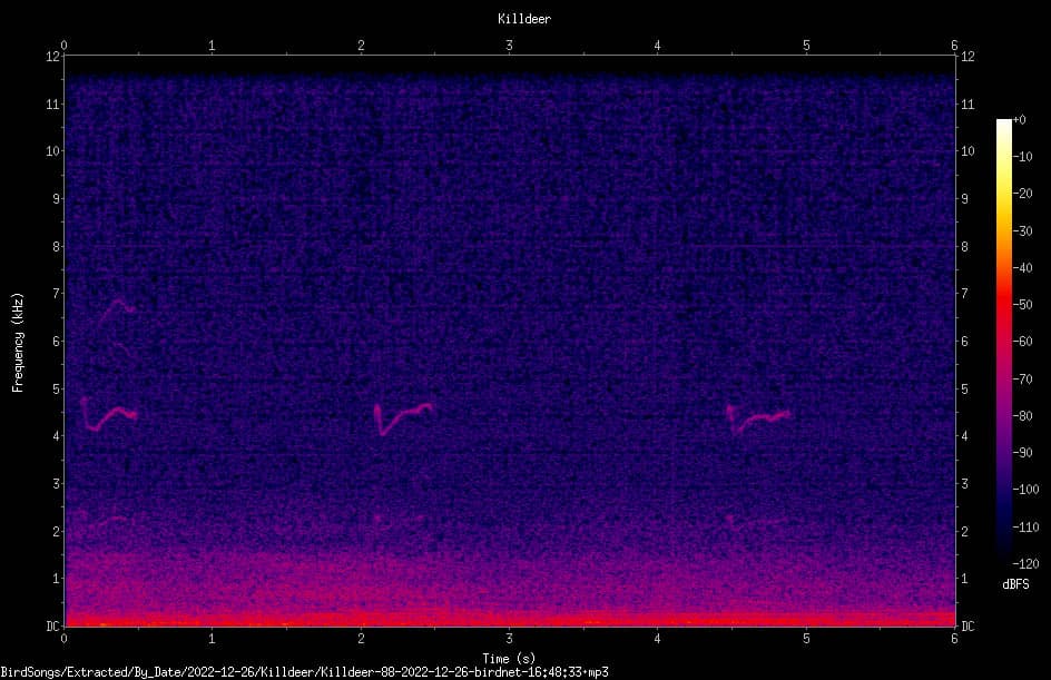 See the Killdeer call between 4-5kHz on this spectrogram