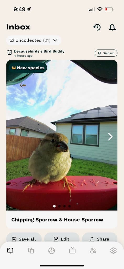 bird buddy app inbox tab
