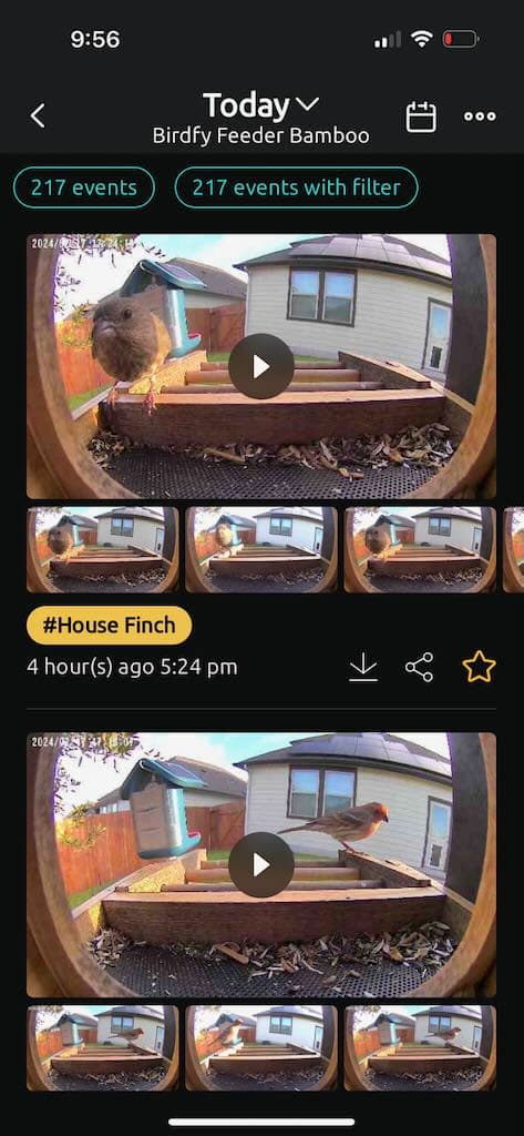 The Birdfy app with over 200 "Moments" to review from a single day.
