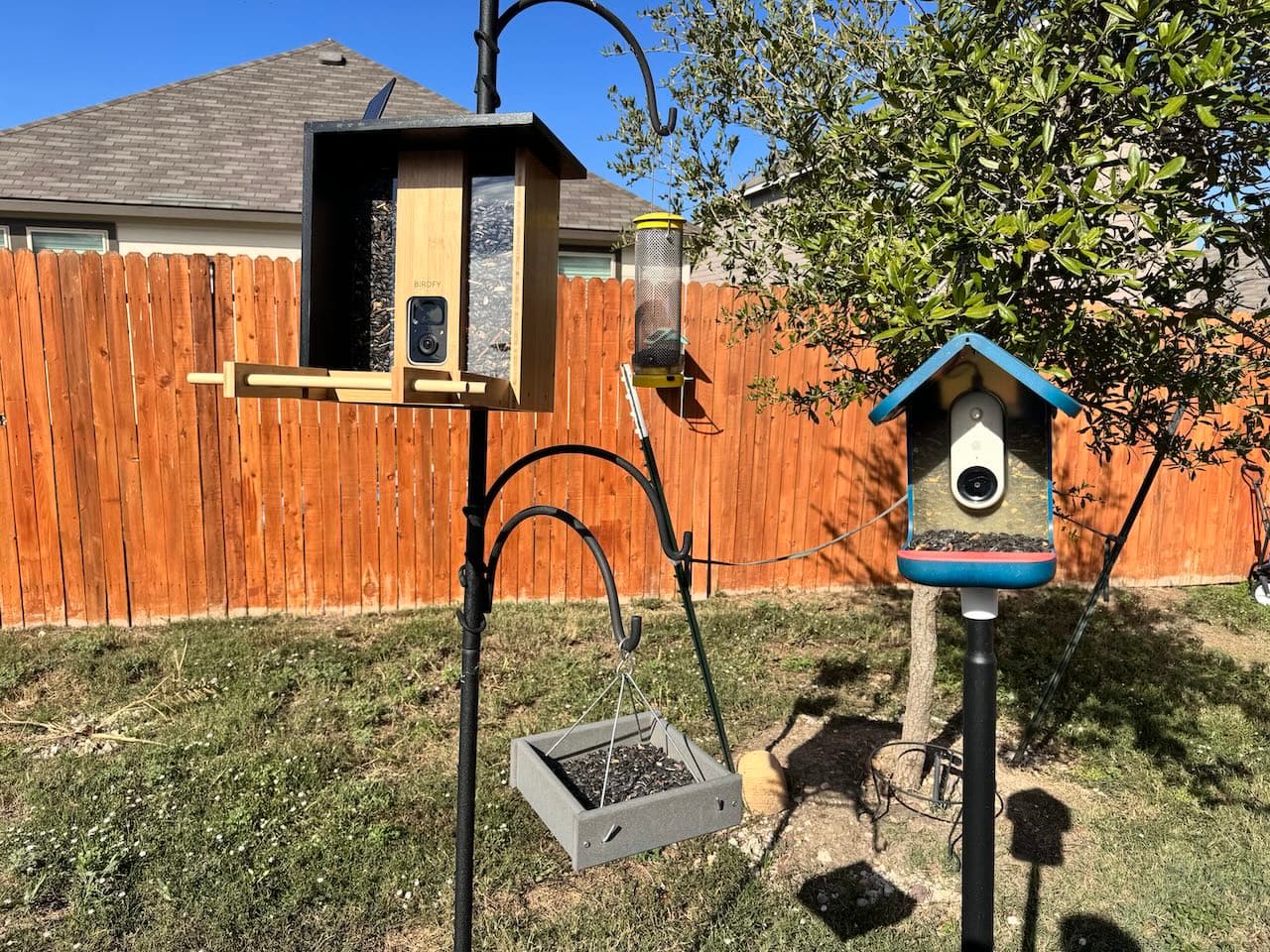 Birdfy Bamboo on the left. Bird Buddy on the right.