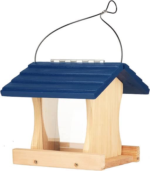 Build a bird feeder kit