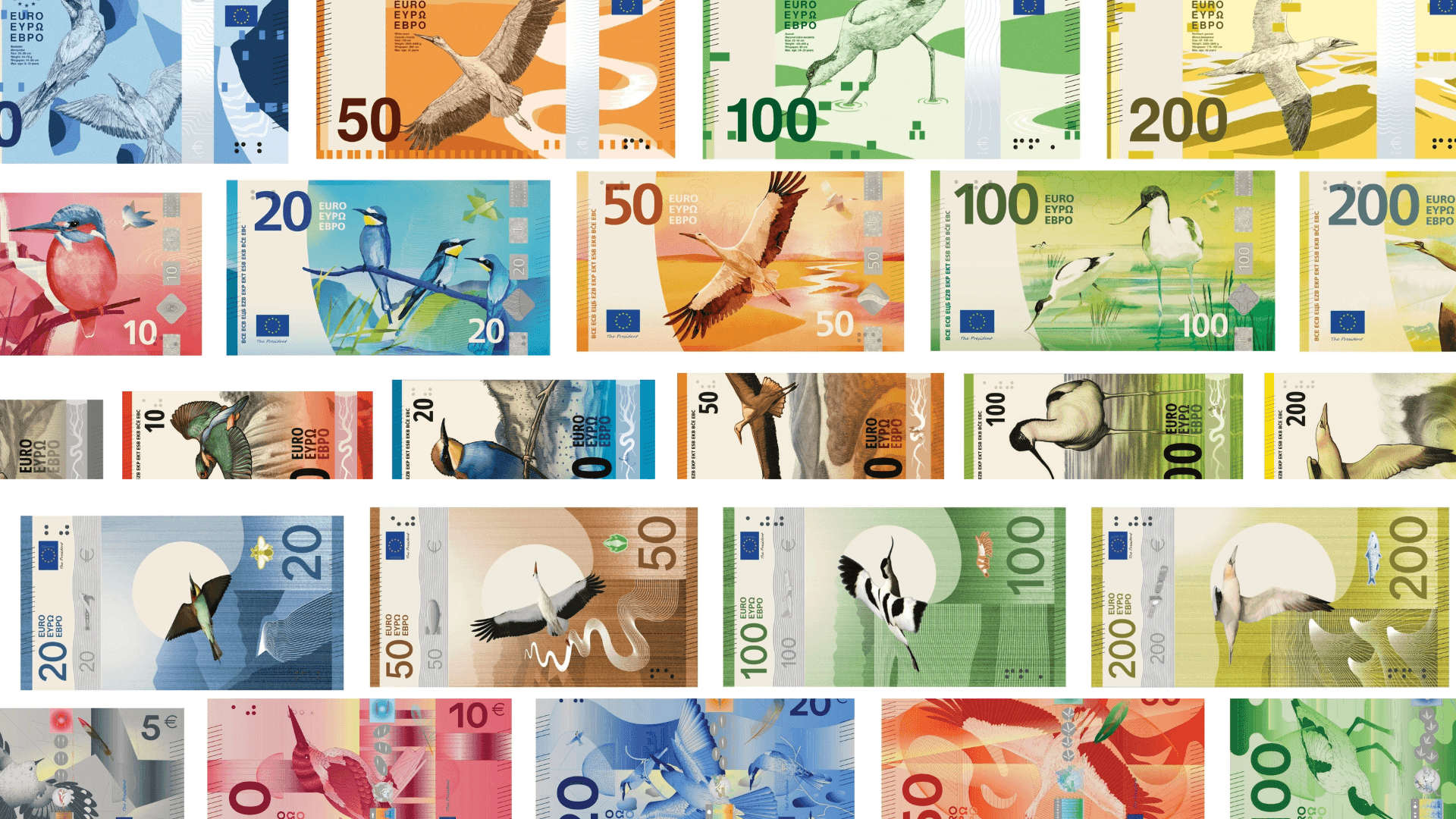 Vote for cool bird designs on the new Euro bank notes