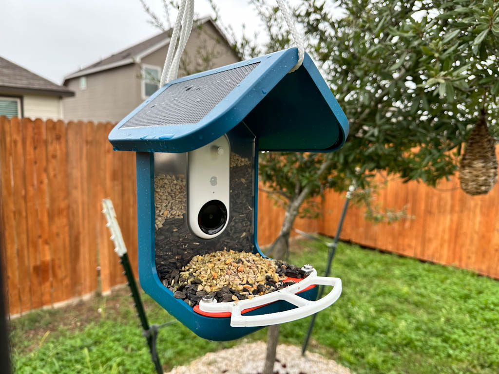 The Bird Buddy overflowing with seeds to attract whoever flies by. I installed a 3D-printed perch that attaches to the accessories holes on the feeder (see the white plastic).