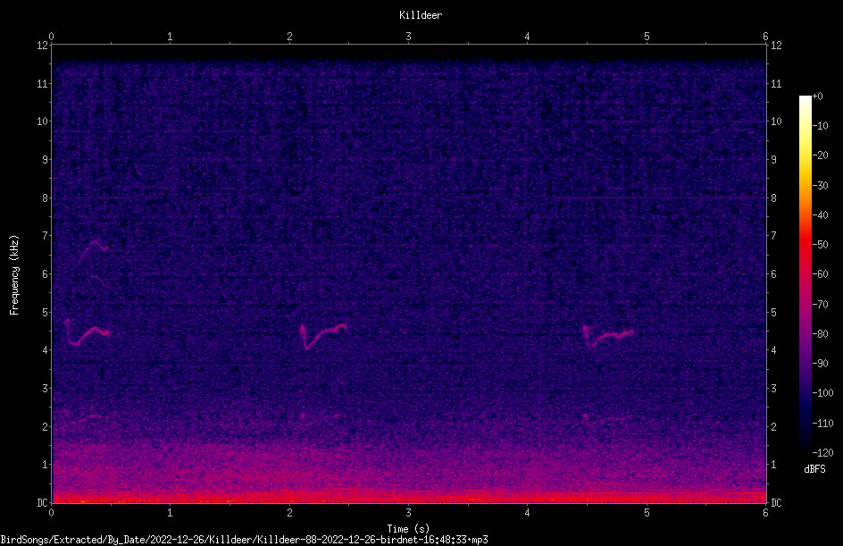 See the Killdeer call between 4-5kHz on this spectrogram