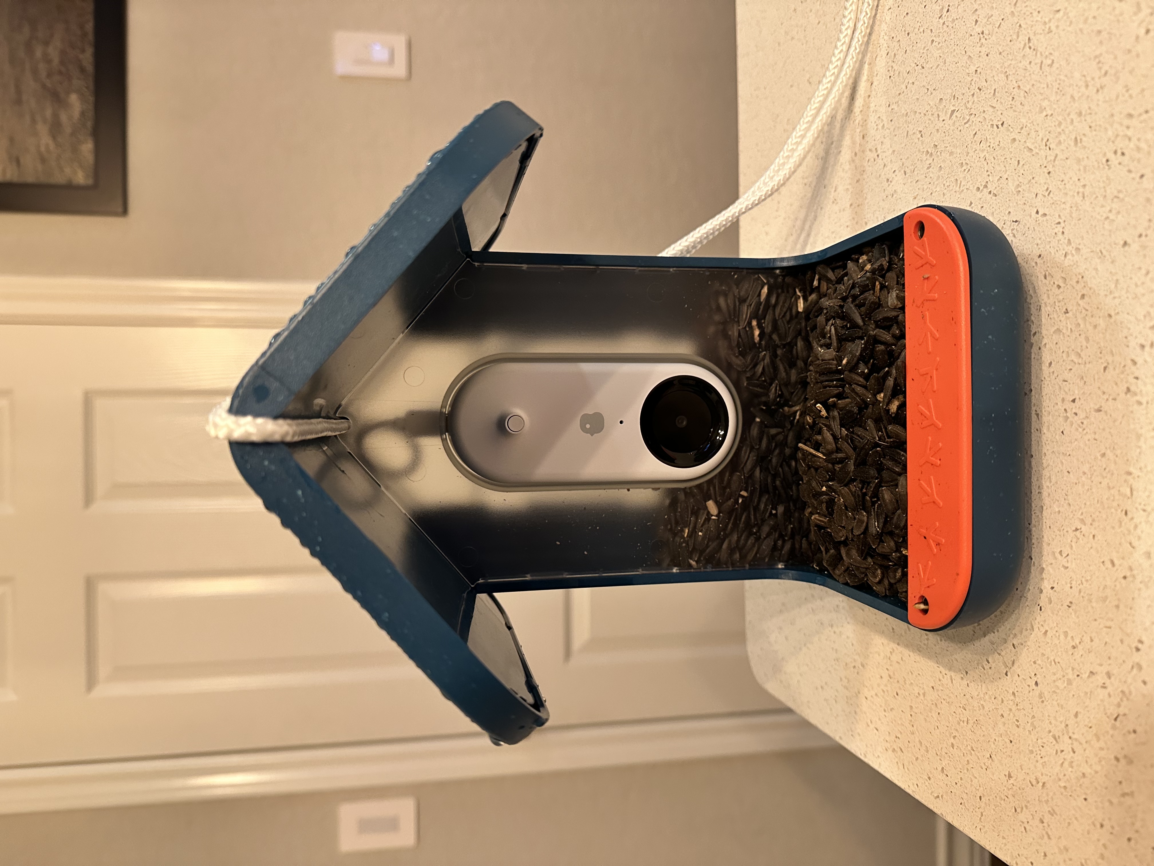 A front view of the Bird Buddy smart bird feeder. It was brought inside for these photos, so it’s wet and you can see how it holds birdseed.