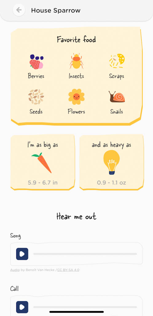 Fast facts about the House Sparrow within the Bird Buddy app