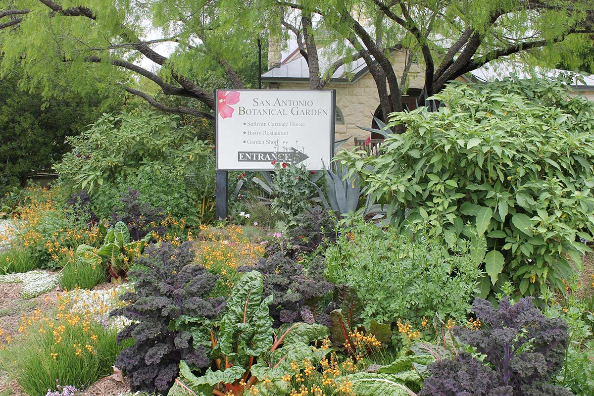 san antonio botanical garden entrance