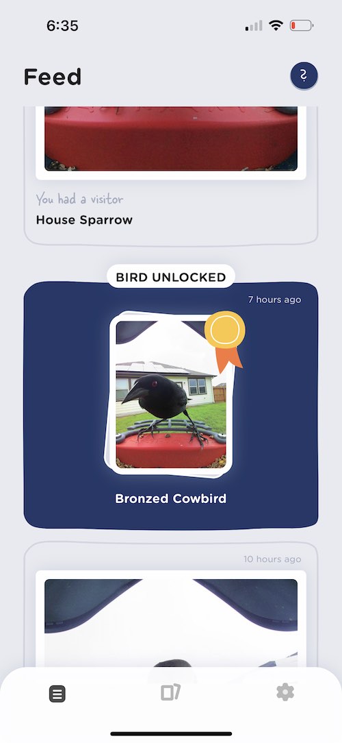 bird buddy abird unlocked