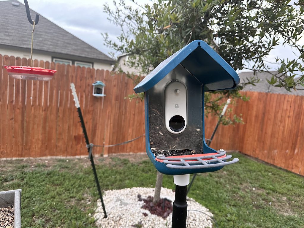 The Bird Buddy feeder is happy on its pole top mount.