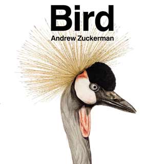 Bird by Andrew Zuckerman Coffee Table Book
