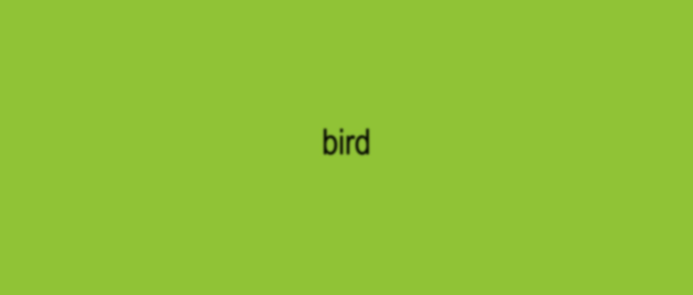 poll: which bird is the most brat?