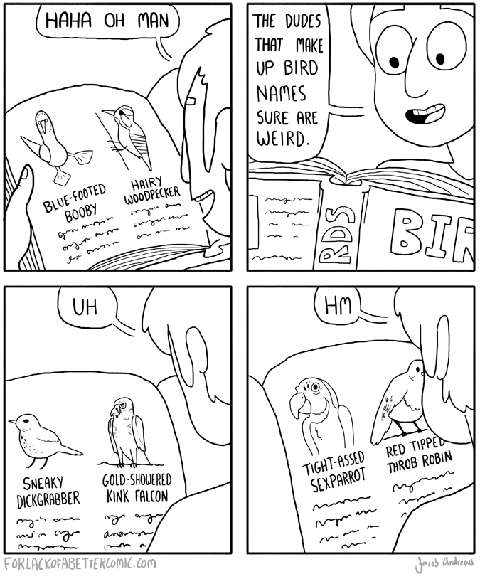 About those bird names...