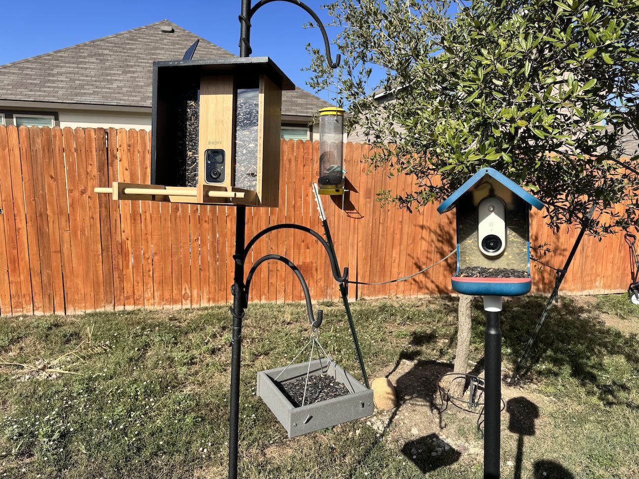 Birdfy Bamboo on the left. Bird Buddy on the right.