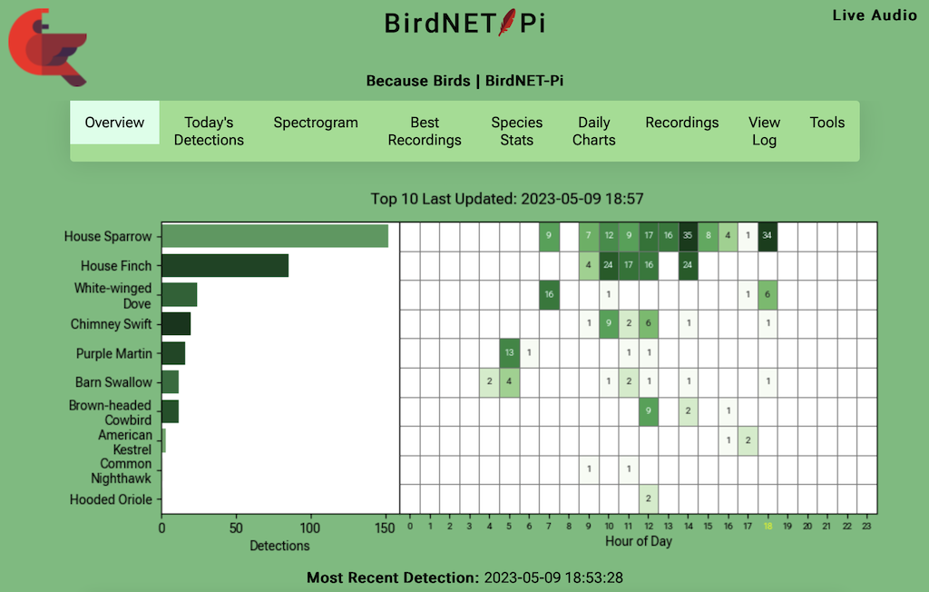 The summary of the daily top ten species along with an hourly heat map in birdnet-pi