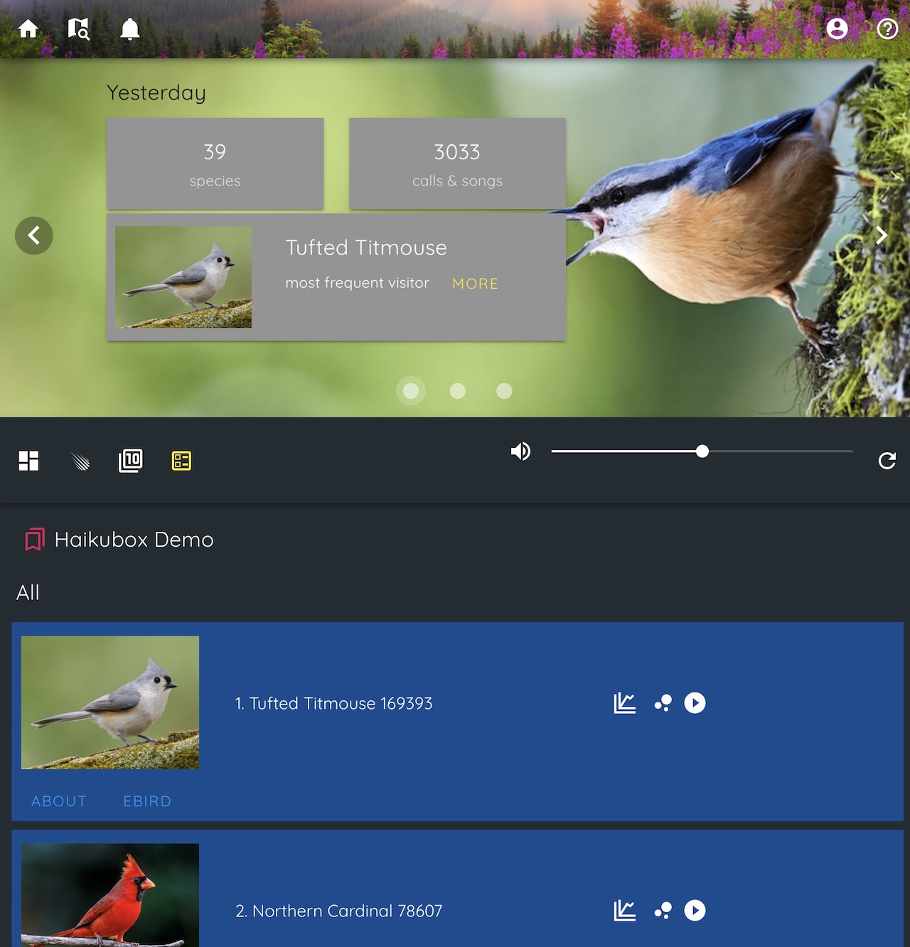 Haikubox UI. A summary of the previous day is at the top, followed by the top birds. I would love it if there was a view of the current day as well.