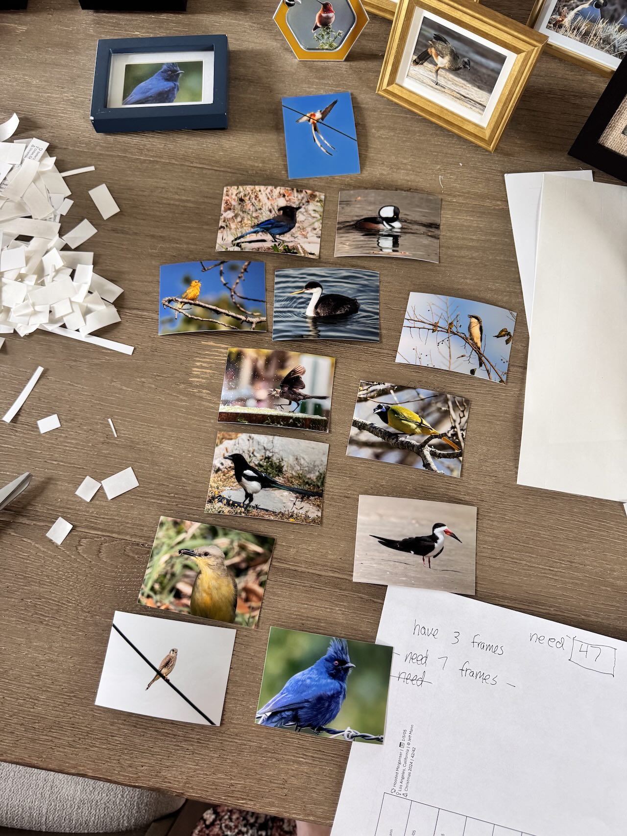 A handful of tiny bird photos about to be put into various frames