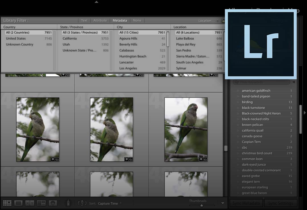 Organizing bird photos guide