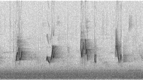 Shotgun microphone recording of a Red-eyed Vireo