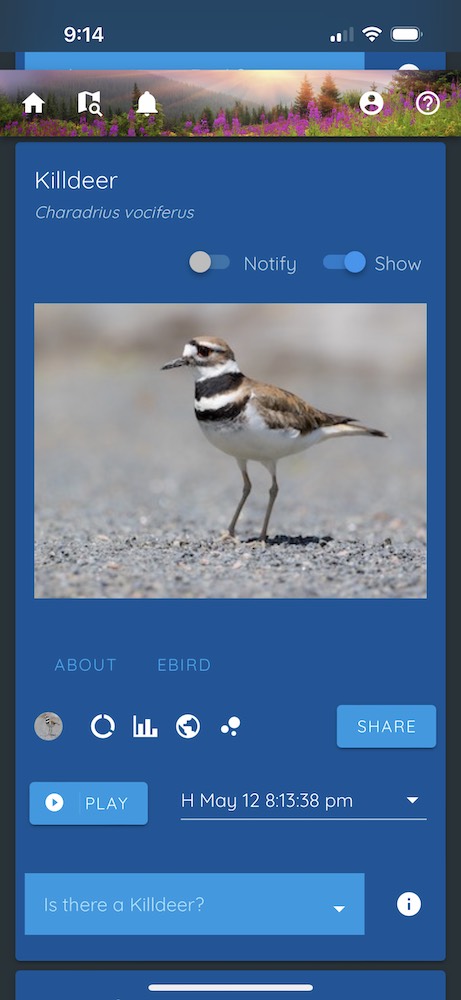 Links to listen and learn about each bird in haikubox app