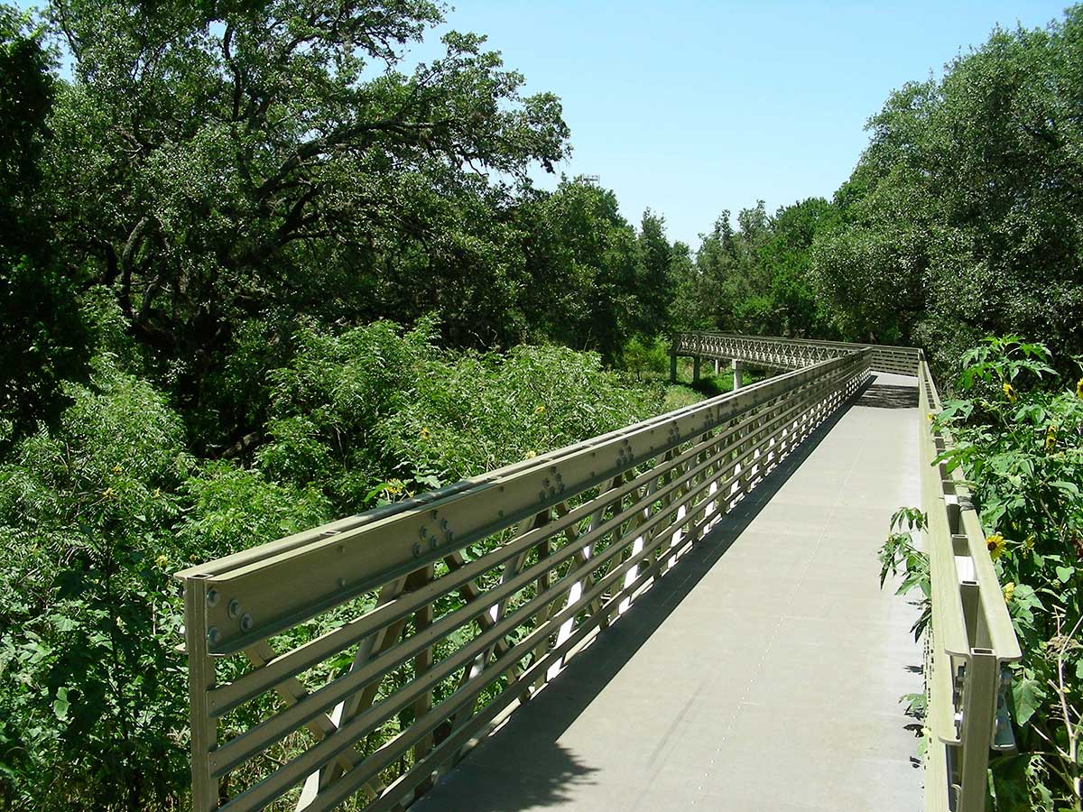 Birding with Bexar Audubon at Walker Ranch Park