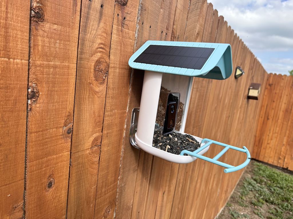 After failing to strap mount this huge feeder to my tiny tree, I conceded to putting it on my fence near a tree.