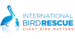 international bird rescue logo