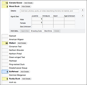 how to use ebird