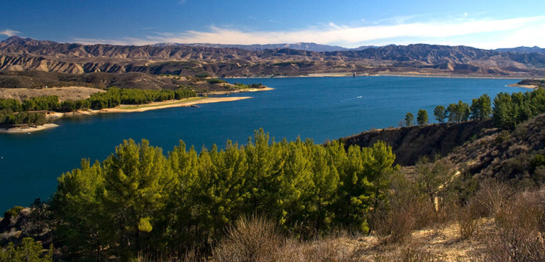 castaic-lake-bird-walk