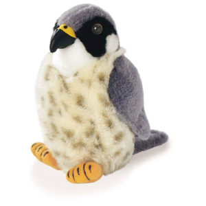 bird-lover-gift-ideas-peregrine-falcon