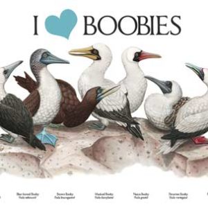 i love boobies