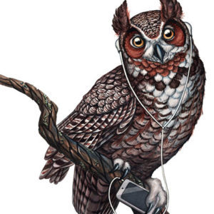 owl music art