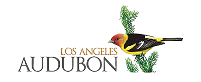 los angeles audubon logo