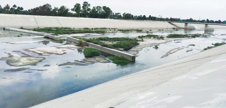 birding at la river