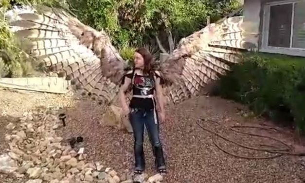 Amazing Custom Bird Wings Costume, Life-Like and Fully Articulating