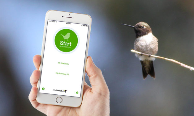 The Ultimate Digital Birding Toolkit