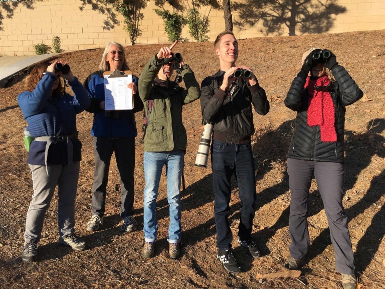 limekiln canyon christmas bird count group