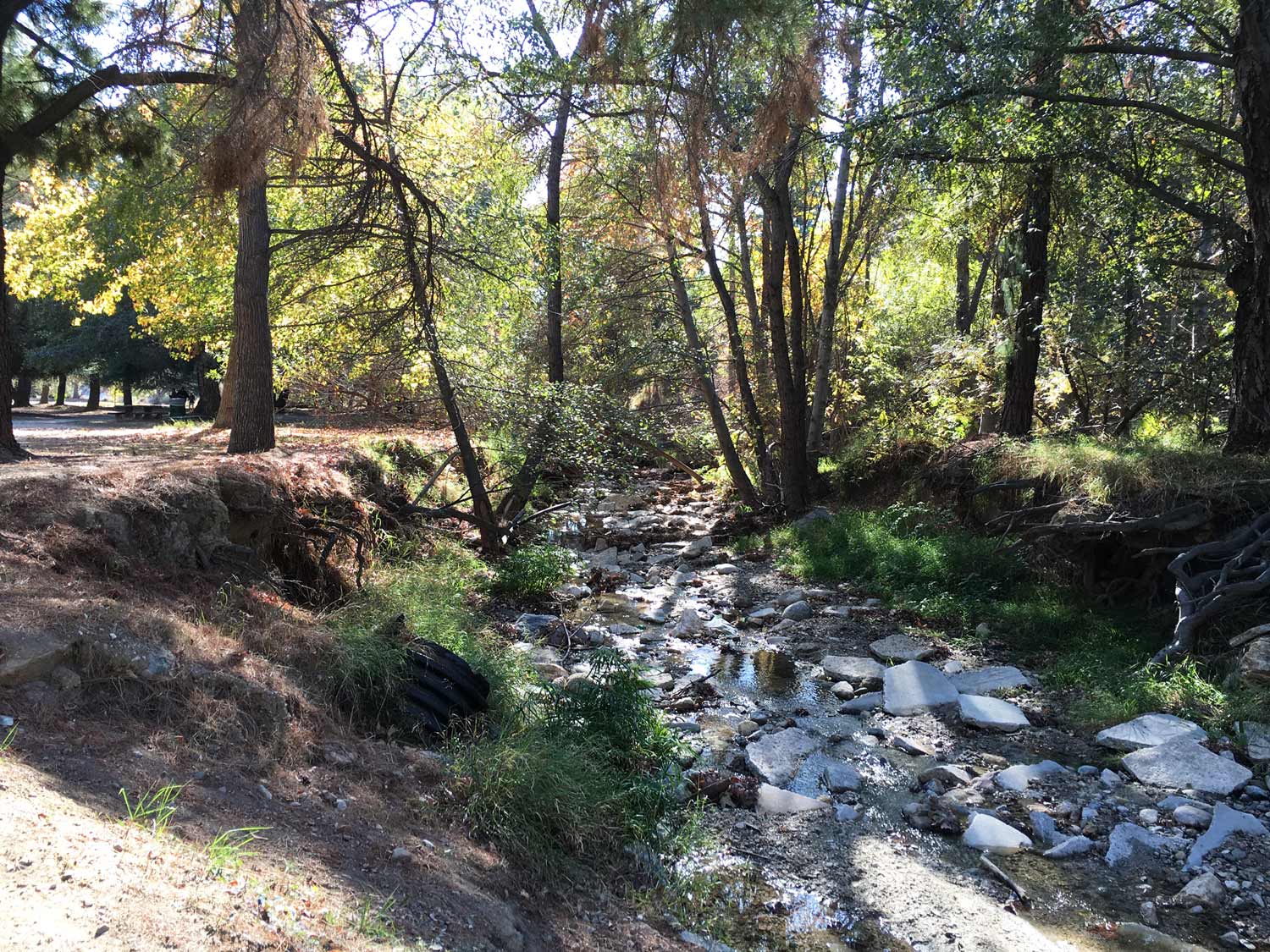 limekiln canyon park creek 