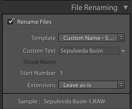 lightroom file renaming