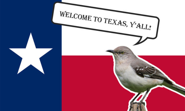 Big Move to the Lone Star State and Meeting the Neighborhood Birds