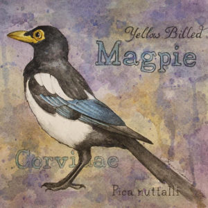 Magpie Watercolor Print