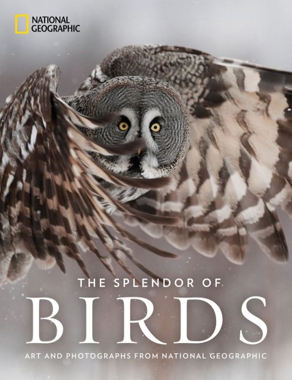 The Splendor of Birds: Art and Photographs From National Geographic book cover