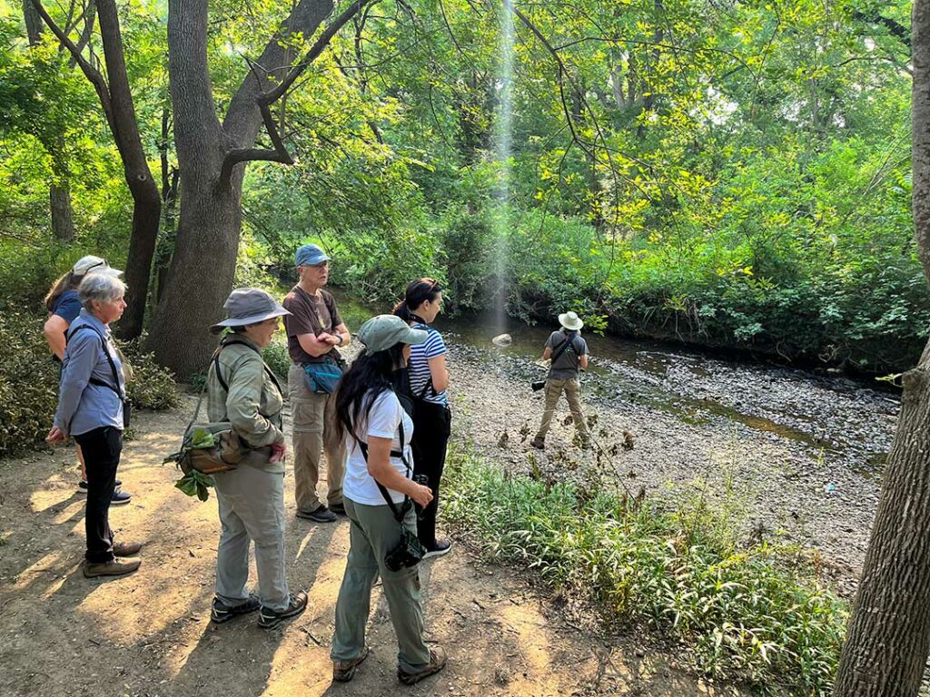 birding group near creek