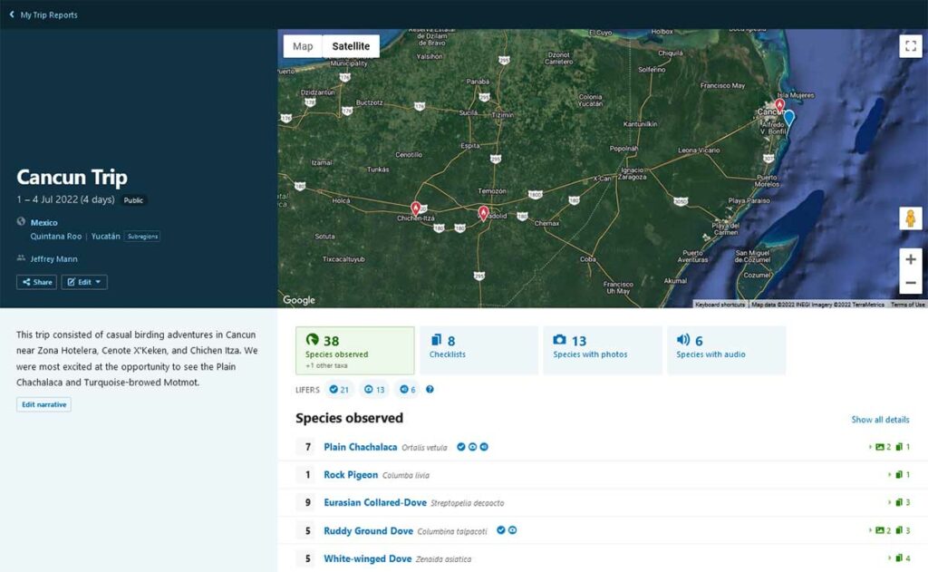 ebird trip report of cancun trip