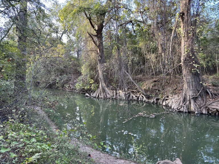 View of the Medina river from the Medina rio trail