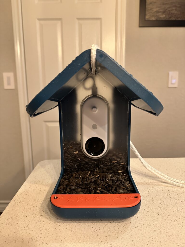 Bird buddy bird feeder