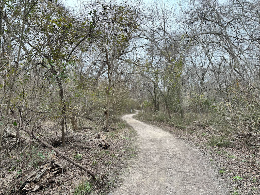 Trail at Medina river Natural area