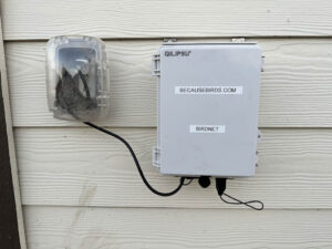 Fun Raspberry Pi project: Identify backyard birds 24/7 - Because Birds