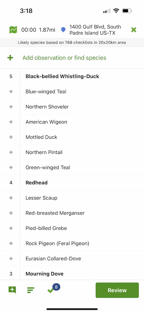 eBird mobile checklist